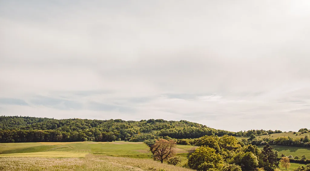 Weite Landschaft im Steigerwald bei Michelau mit Wiesen und Wald